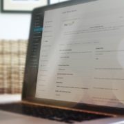 Powerful Theme Options