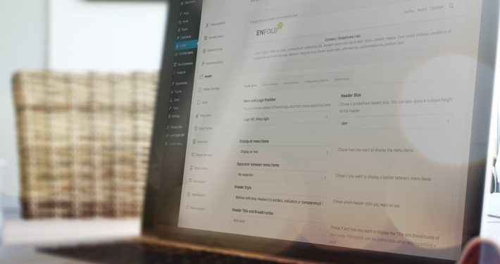 Powerful Theme Options